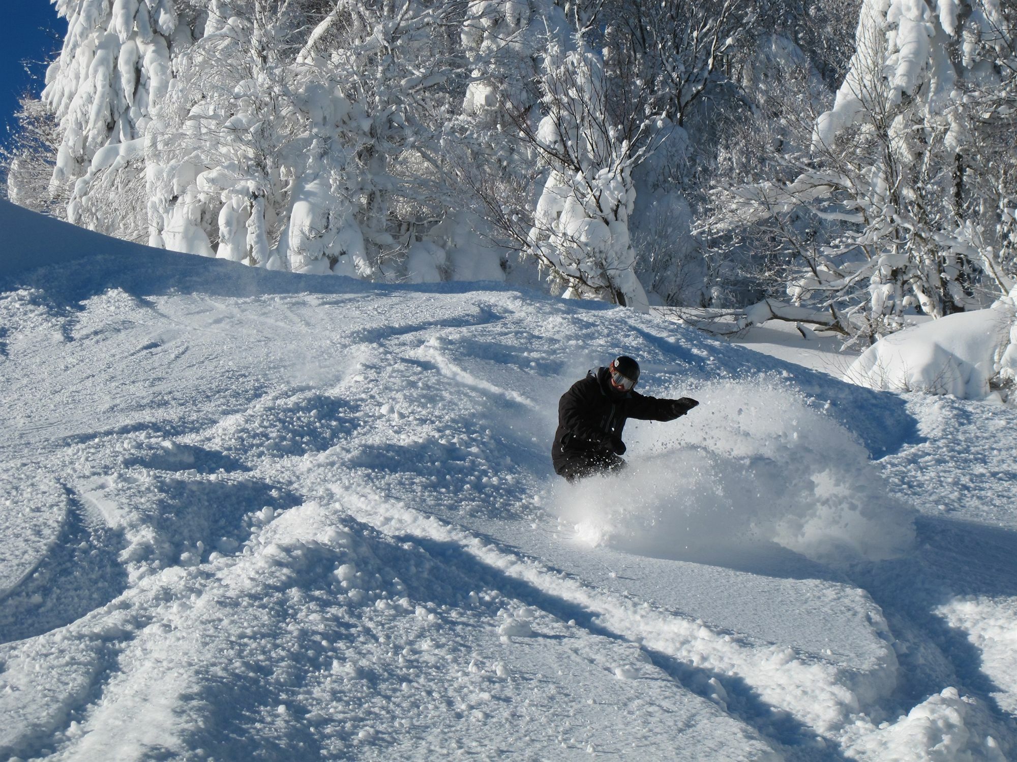 Seneca - Snowshoe Dış mekan fotoğraf